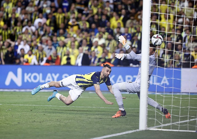 拉脱维亚的 拉脱维亚的