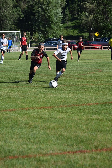 海港再会横 海港再会横